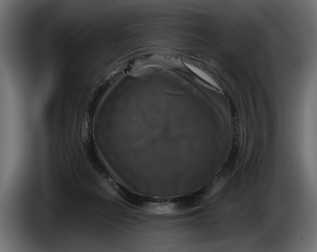 X0000086010266200704131834