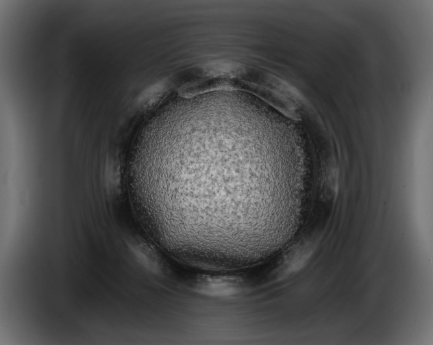 X0000086010268200704131834
