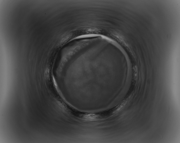 X0000086010269200704131834