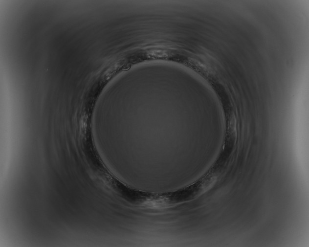 X0000086010271200704131834