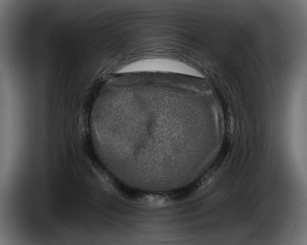 X0000086010272200704131834