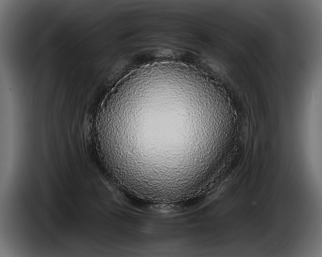 X0000086010273200704131834