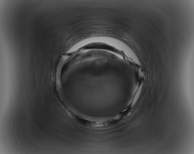 X0000086010277200704131834