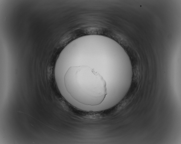 X0000086010278200704131834