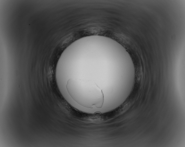 X0000086010279200704131834