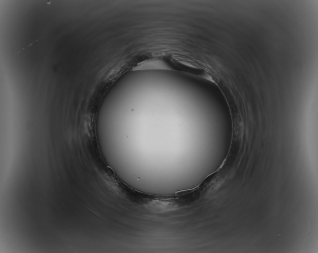 X0000086010280200704131834