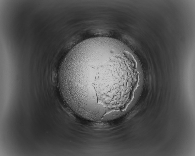 X0000086010281200704131834