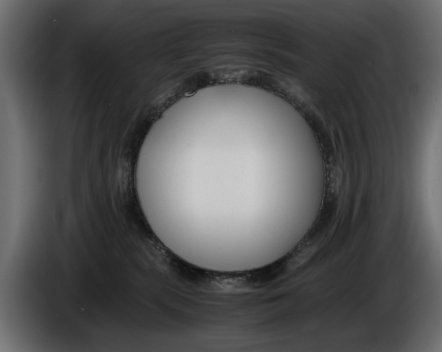 X0000086010283200704131834