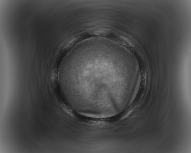 X0000086010284200704131834