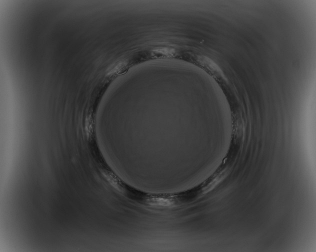 X0000086010285200704131834
