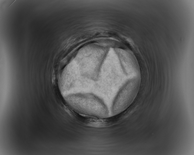 X0000086010288200704131834