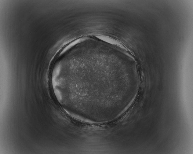 X0000086010290200704131834