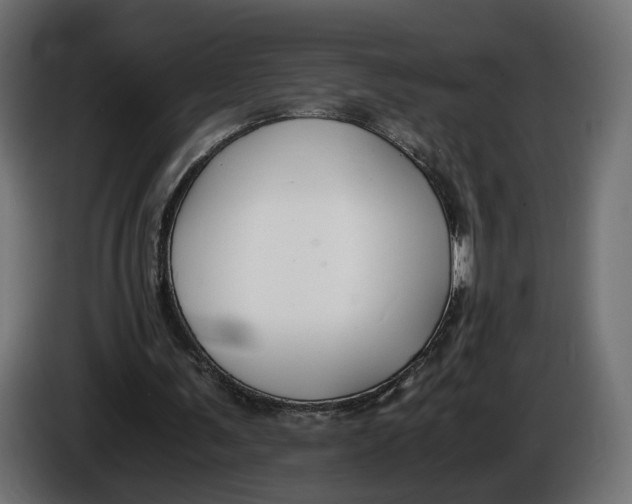 X0000086010291200704131834