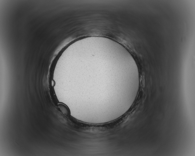 X0000086010292200704131834