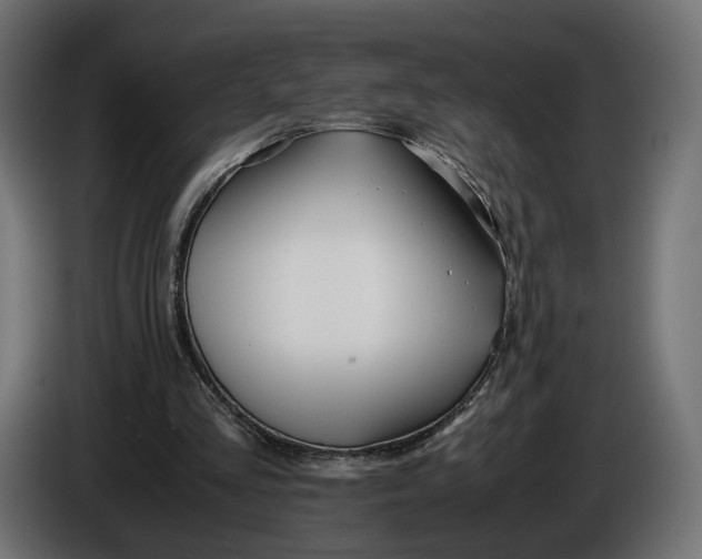 X0000086010293200704131834