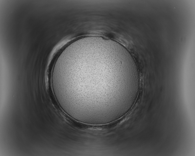 X0000086010294200704131834