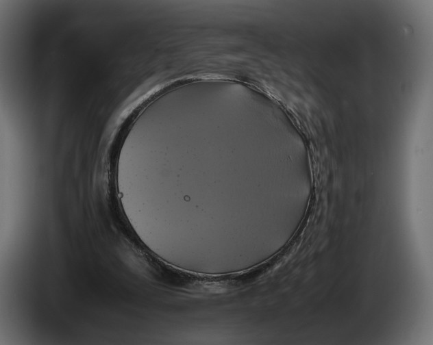 X0000086010295200704131834