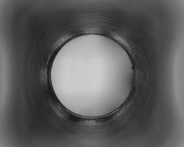 X0000086010298200704131834