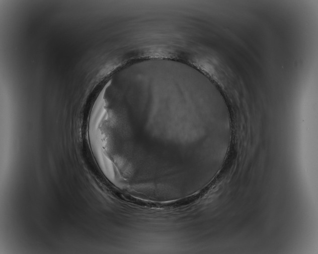 X0000086010299200704131834