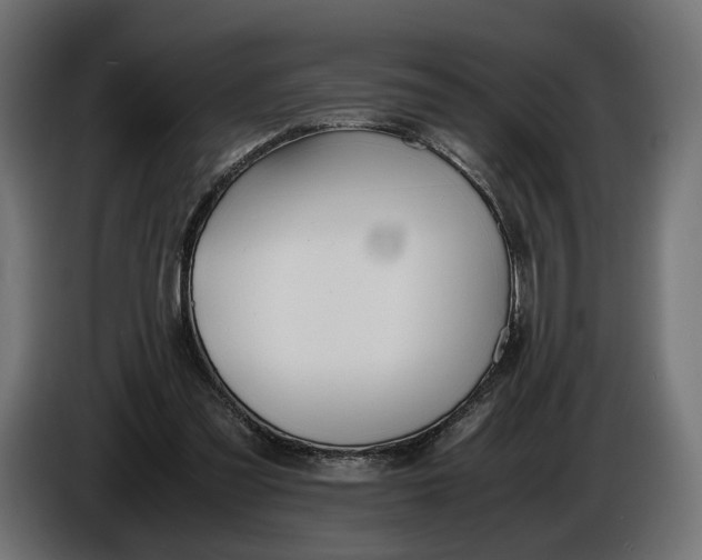 X0000086010301200704131834