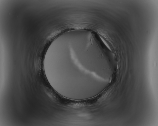 X0000086010303200704131833