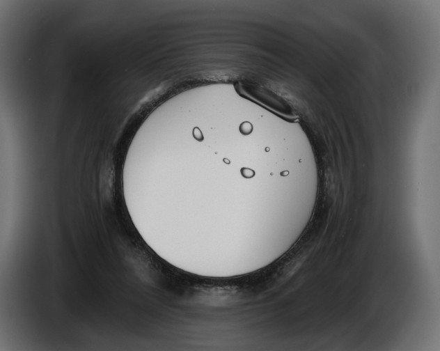 X0000086010304200704131833