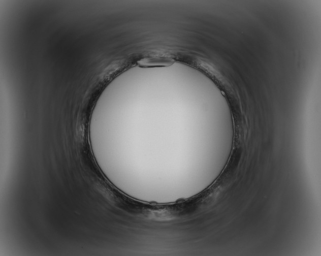 X0000086010309200704131833