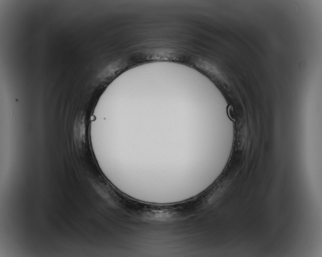 X0000086010310200704131833