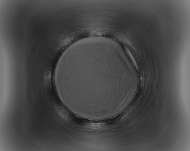 X0000086010314200704131833