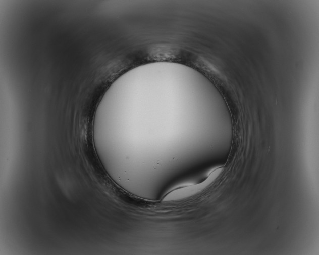 X0000086010315200704131833