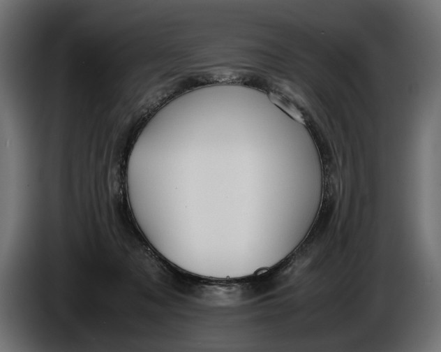 X0000086010317200704131833