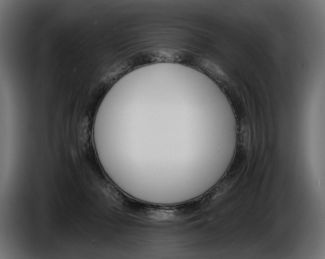 X0000086010318200704131833