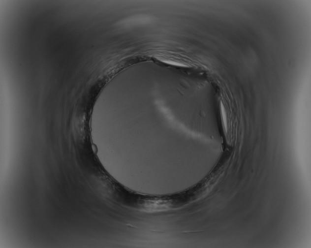 X0000086010319200704131833