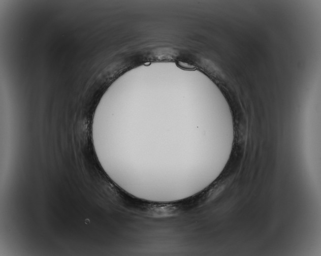 X0000086010321200704131833