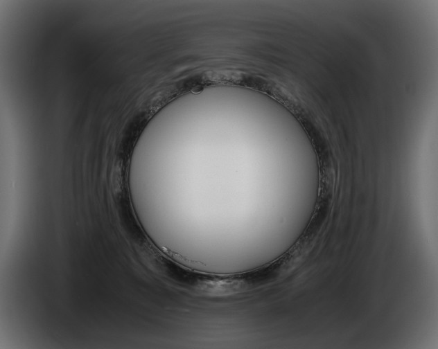 X0000086010323200704131833