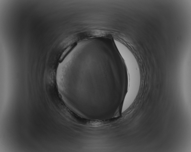 X0000086010325200704131833