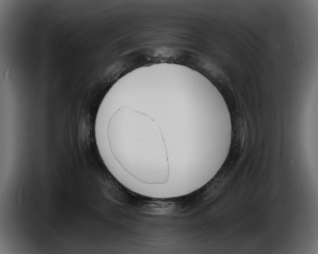 X0000086010328200704131833