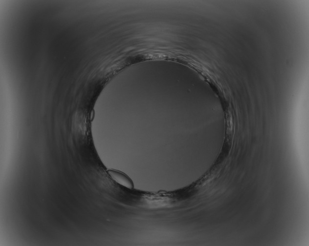 X0000086010331200704131833