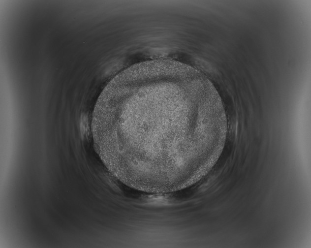 X0000086010335200704131833