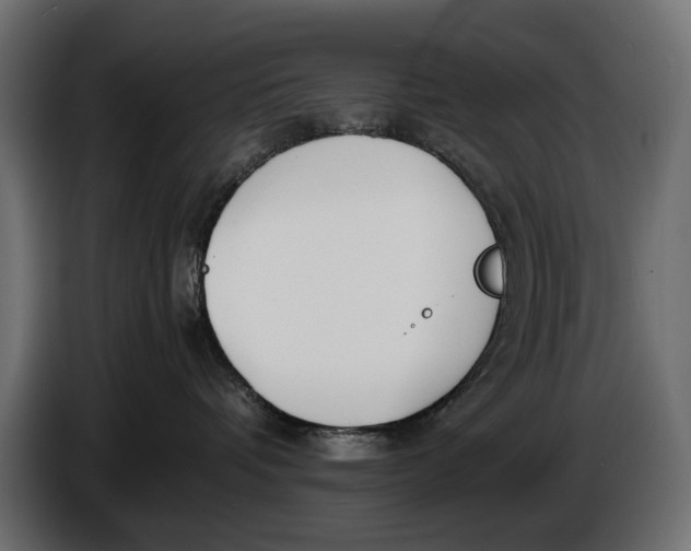 X0000086010336200704131833