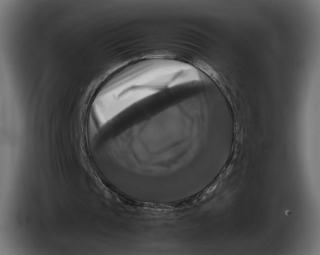 X0000086010337200704131832