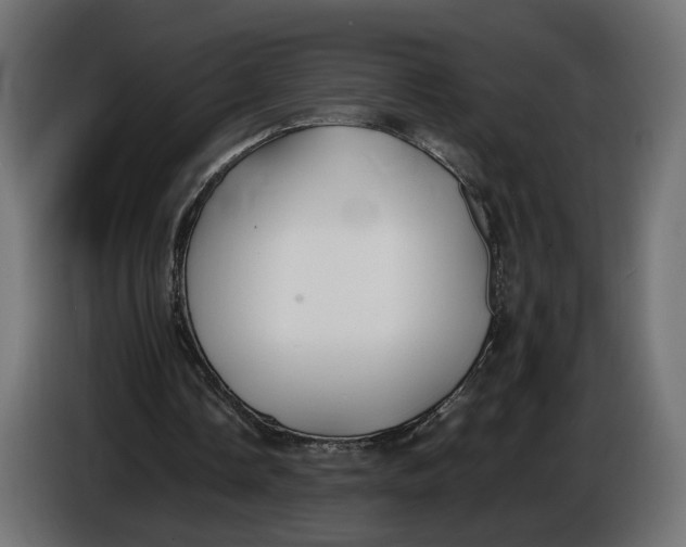 X0000086010338200704131832