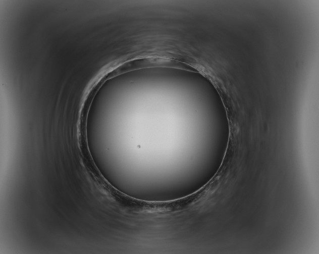 X0000086010340200704131832