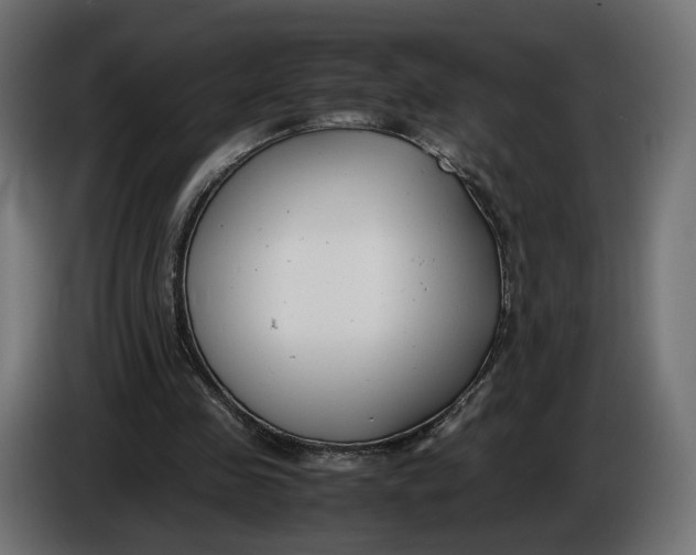 X0000086010341200704131832