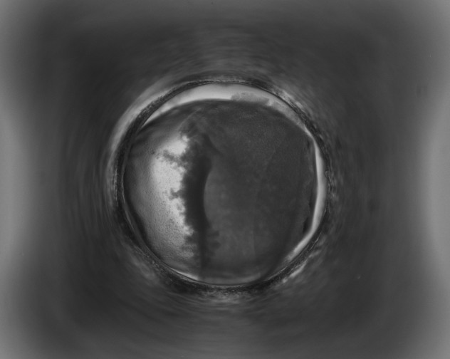 X0000086010343200704131832