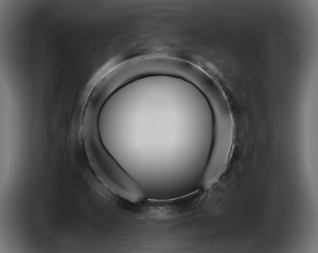 X0000086010344200704131832