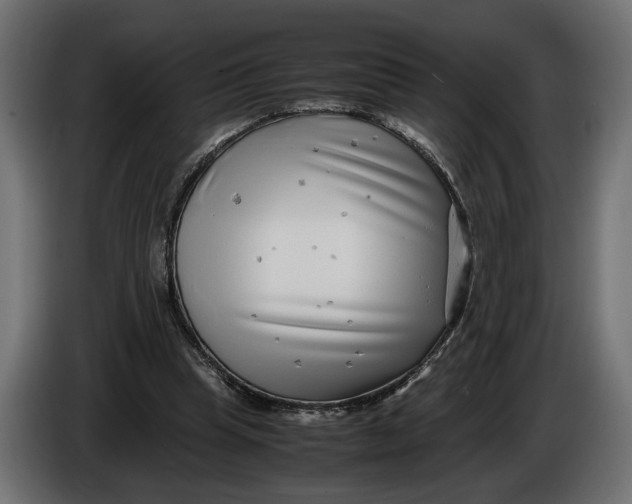 X0000086010345200704131832