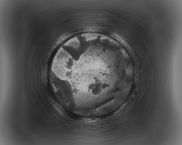 X0000086010346200704131832