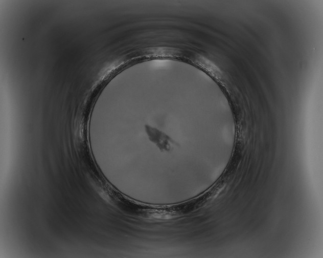 X0000086010347200704131832