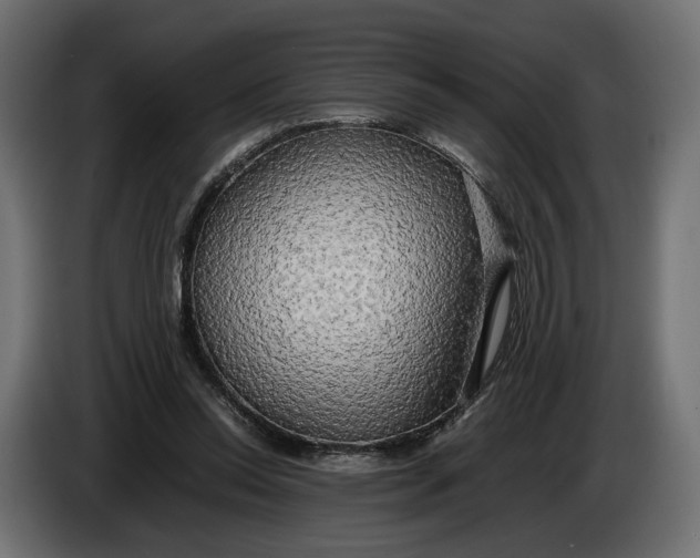 X0000086010350200704131832
